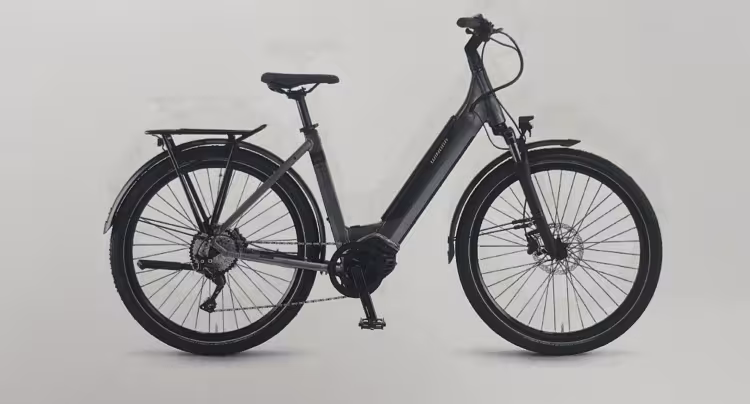 WINORA Sinus i10