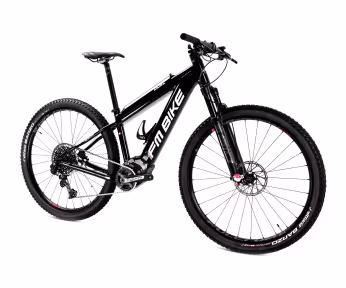 FM-BIKE E-Dual Mtb X01