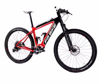 FM-BIKE E-Dual Mtb X01