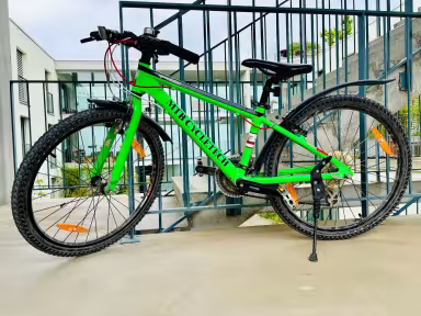 MTB CYCLETECH Speedster 24