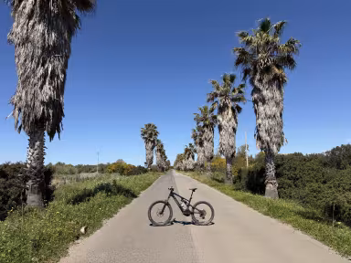 SPECIALIZED Turbo Levo 3 S-Works