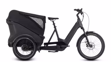 Cube  Trike Cargo Hybrid 750