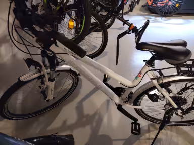 Crosswave Cruiser Trekking