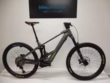 Orbea Wild H10
