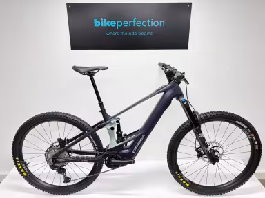 Orbea Wild H10