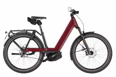 Riese & Müller Nevo5 pinion HS