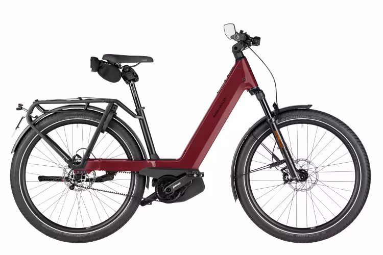Riese & Müller Nevo5 pinion HS