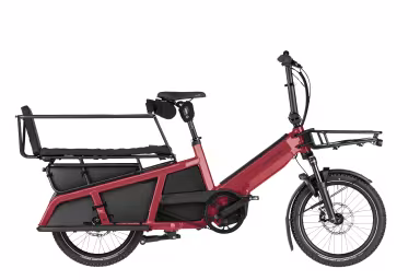 Riese & Müller Multitinker2 Vario