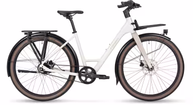 Stevens Amant 5.2 Forma