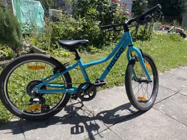 Naloo Camäleon 20"