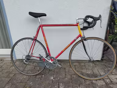 Koga Miyata Miyata Pro