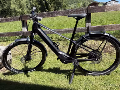 Thömus Longrider