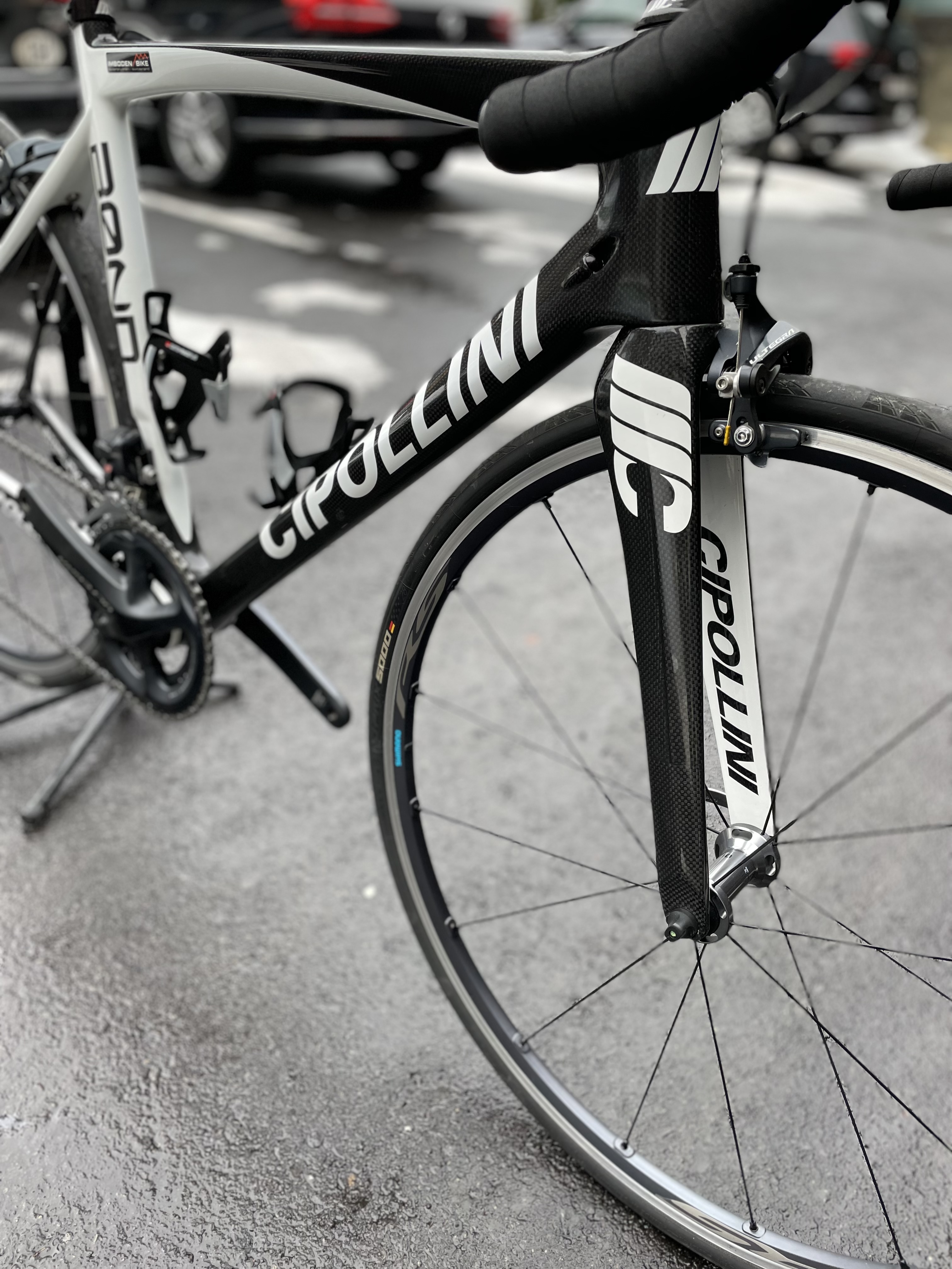 Cipollini Bond in Vendita Nuovo, Large Berna