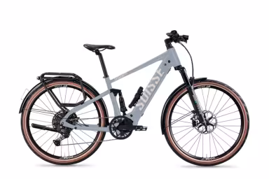 Tour de Suisse Freigeist 45 Kmh