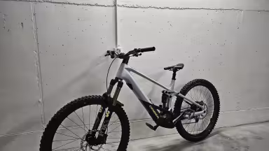 Orbea Wild M-Team
