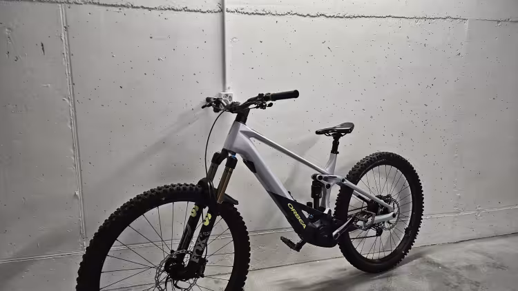 Orbea Wild M-Team