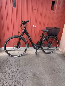 WINORA Tria 7 Eco