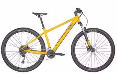 Bergamont Revox 4