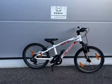 SPECIALIZED Hotrock 20