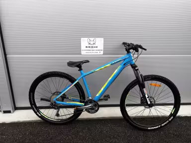 Bergamont Roxter 5.0