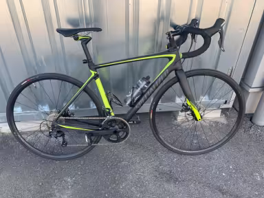 SPECIALIZED Roubaix Elite