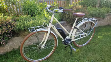 Electra Loft Go 5I
