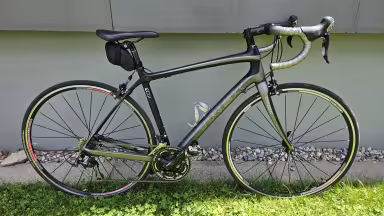 TREK Domane 4.3