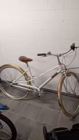 Urbanbiker Custom