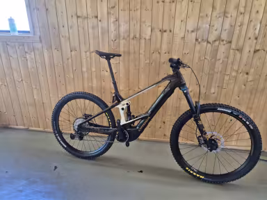 Orbea Wild FS M10