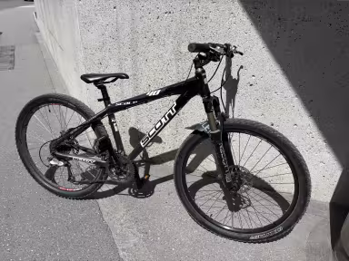SCOTT Scale Concept