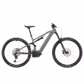 Bergstrom AXV 829