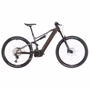 Bergstrom AXV 829