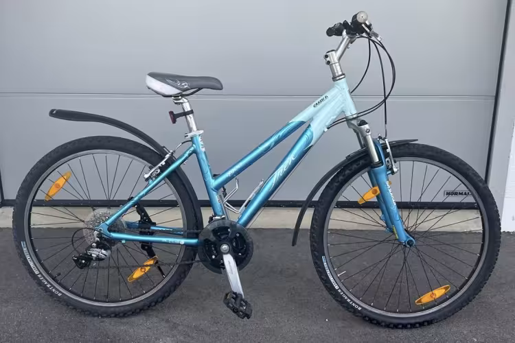TREK 4900