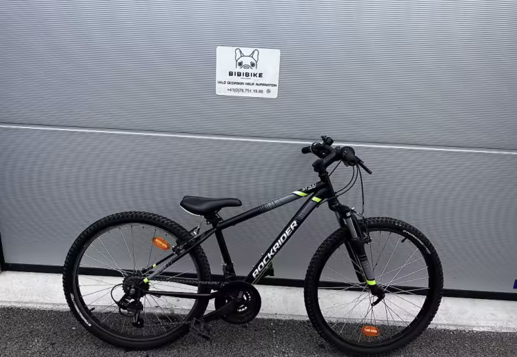 Rockrider St 500 24 Zoll