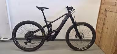 Orbea WILD FS H10