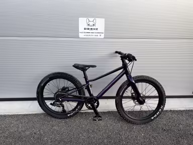 BMC Scor 0020
