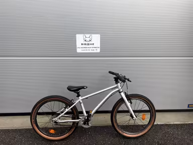 Early Rider Belter 20 Auto