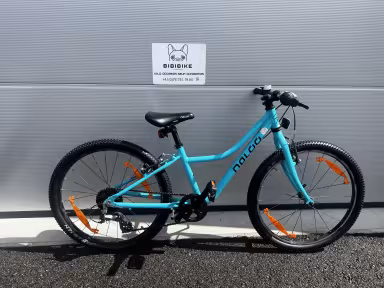 Naloo Chameleon 24 Bleu