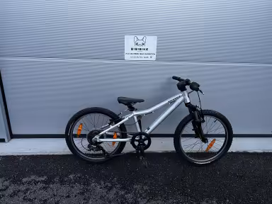 SCOTT Scale 20
