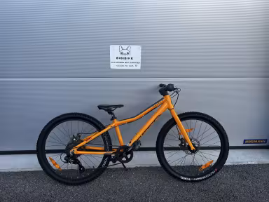 SCOTT Scale 24 Disc