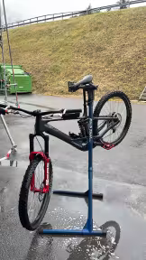 Orbea Wild (L)