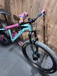 TREK Roscoe 7