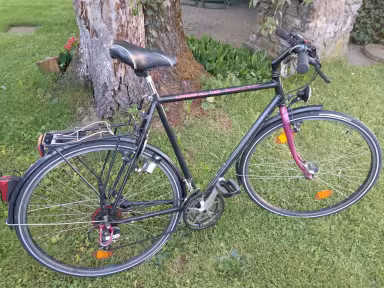 Kettler Alu-Rad Lady S