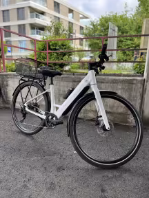 Riese & Müller UBN Six touring