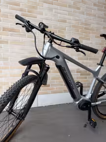 Bergstrom Xcv 729
