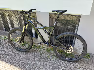 SPECIALIZED Enduro Comp Carbon