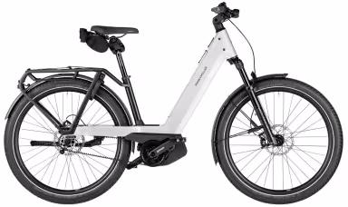 Riese & Müller Nevo5 pinion