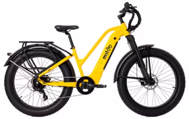 Miloo Might Beast 45 Km/H