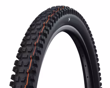 Schwalbe Albert Radial Gravity pneu pliant (10.55.05.020)