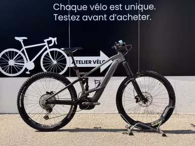 Orbea Wild FS M20
